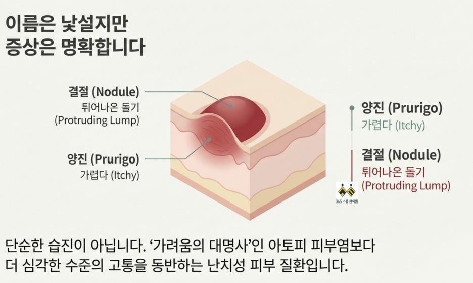 notion image