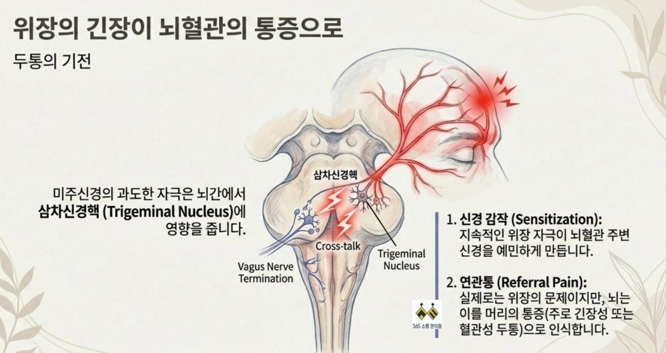 notion image