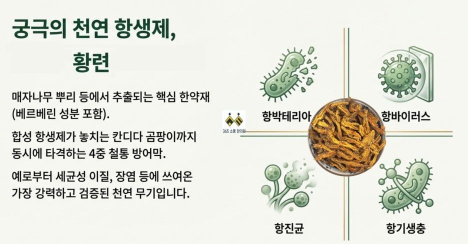 notion image