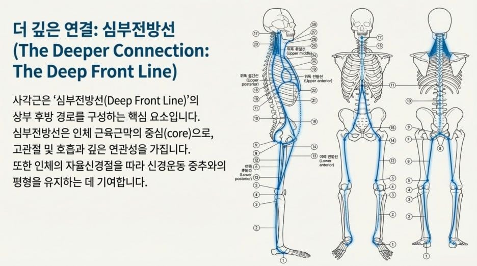 notion image
