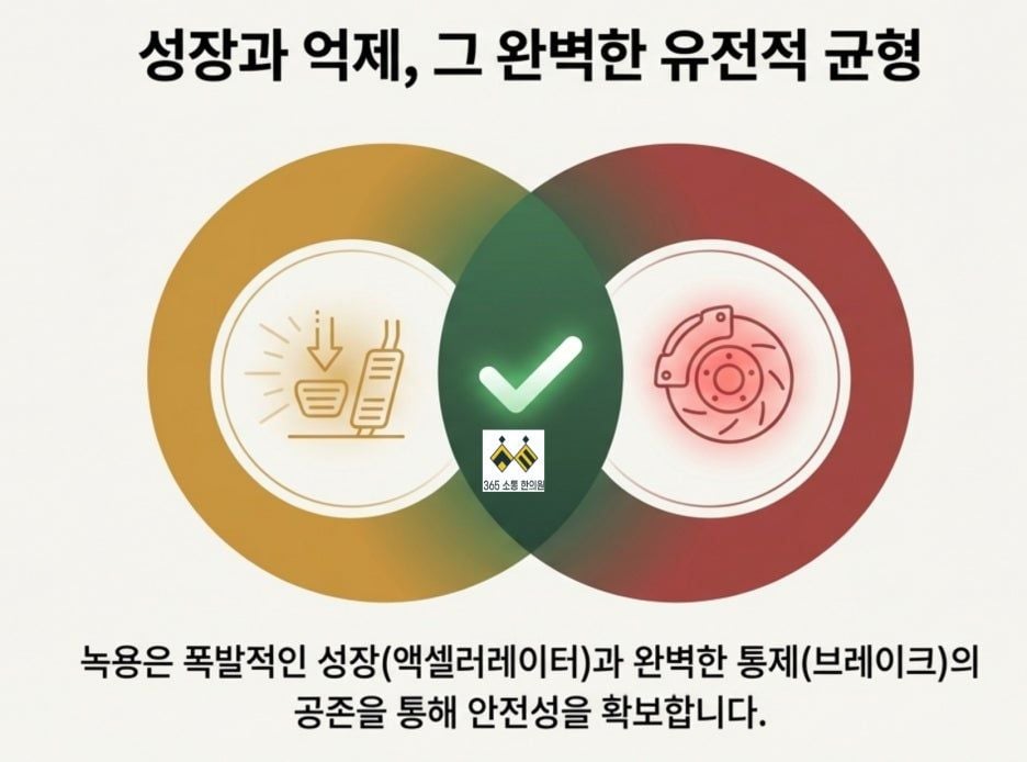 notion image