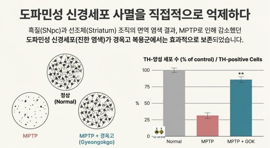 notion image