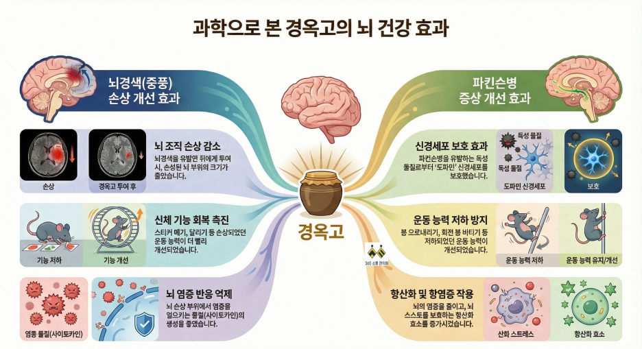 notion image