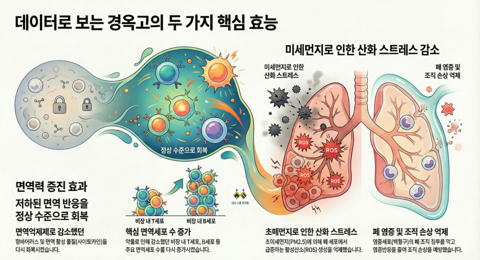 notion image
