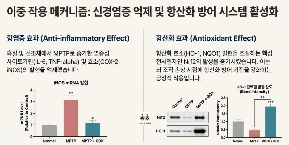 notion image