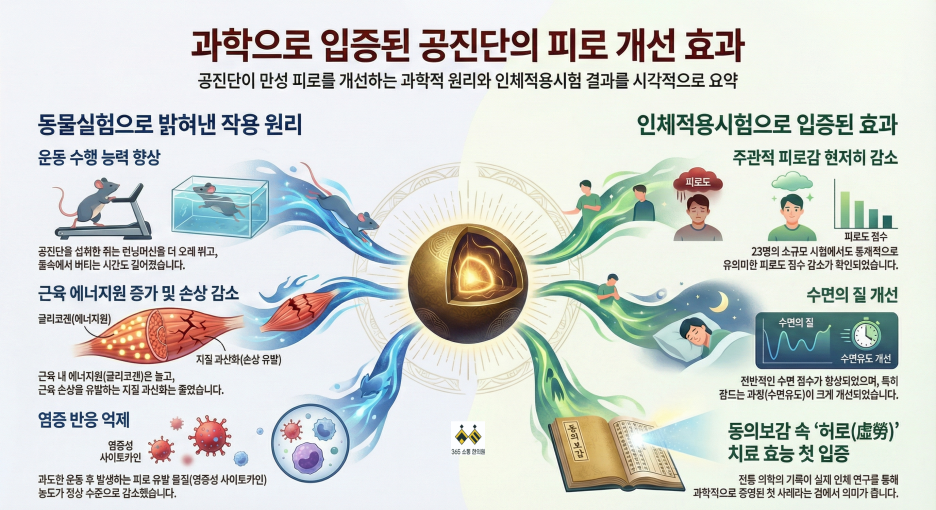 notion image