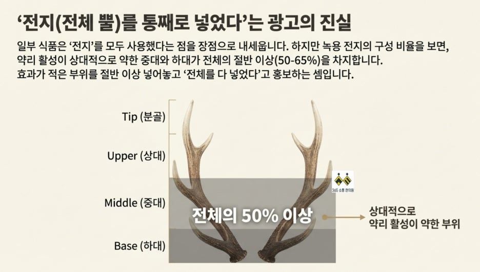 notion image