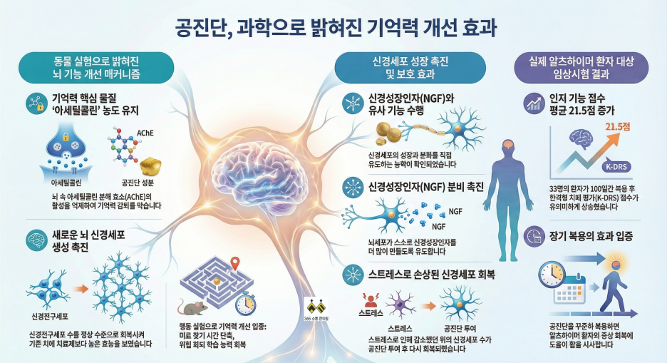 notion image