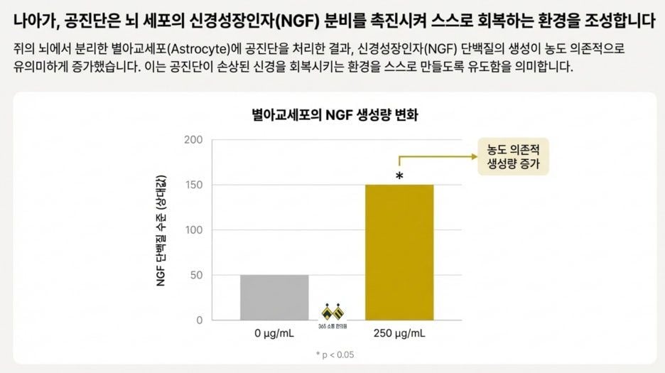 notion image