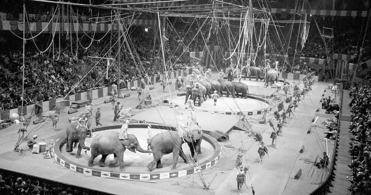Ringling Brothers and Barnum and Bailey Circus