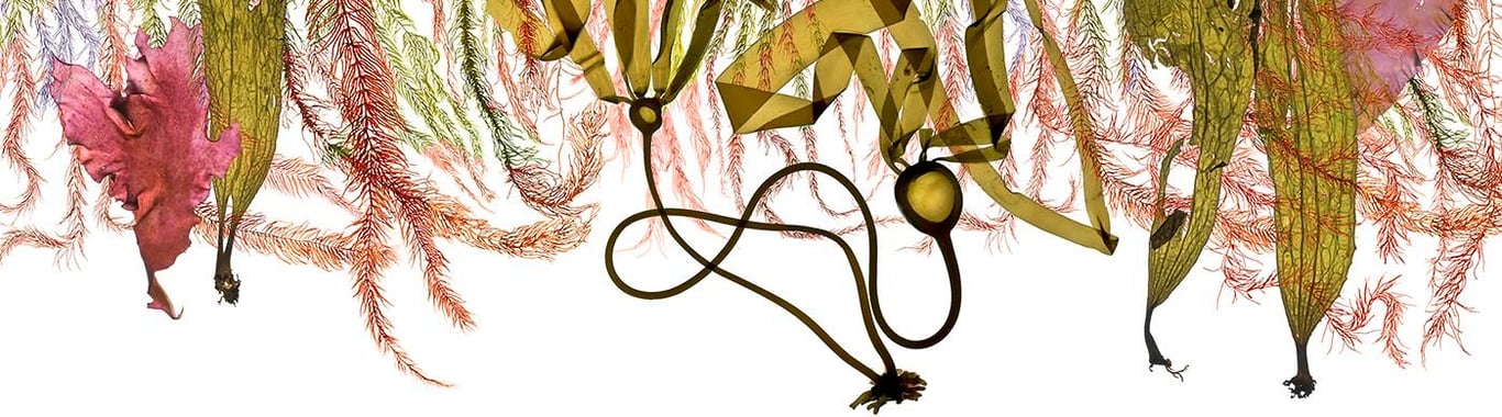 notion image