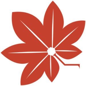 被稱為應仁之亂發祥地的「禦靈神社（上禦靈神社）」 | Caede-L'ELISIR [紅楓葉- 愛麗絲亞 京都]