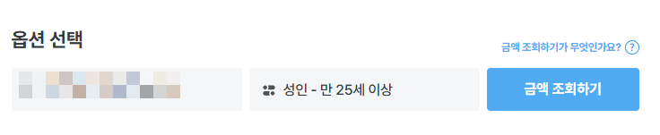 날짜와 나이에 따른 옵션 선택