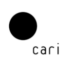 CARI | the Consumer Aesthetics Research Institute