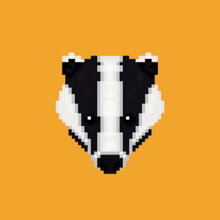 Join the Badger Discord Server!