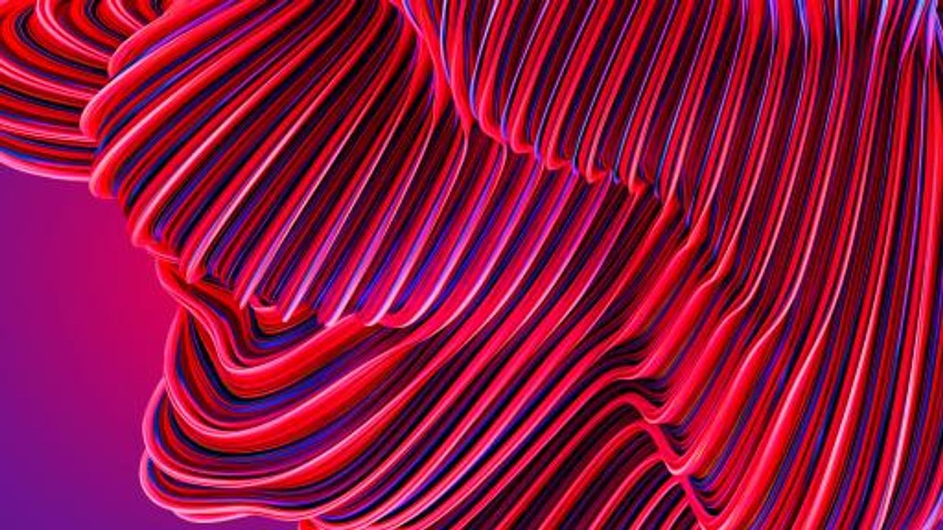 Join the MELD Discord Server!