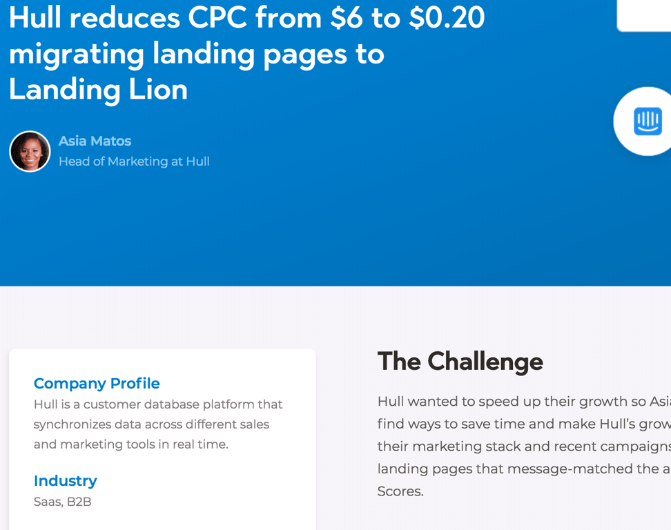 Landing Lion screen shot: client case studies