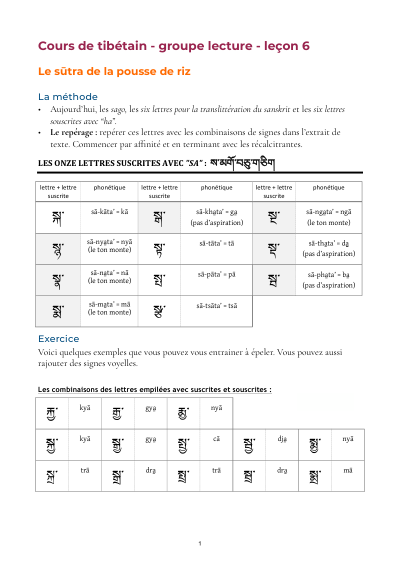 Leçon 6 — Sutra pousse de riz 1
