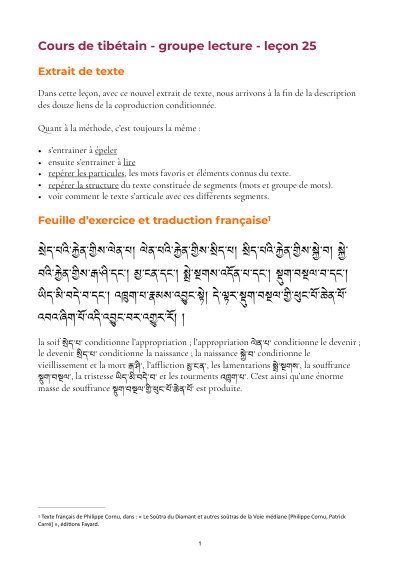 Leçon 25 — Sutra pousse de riz 1