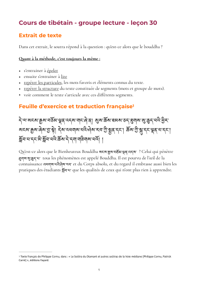 Leçon 30 — Sutra pousse de riz 1