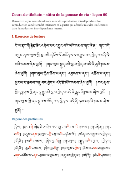 Leçon 60 — Sutra pousse de riz 2