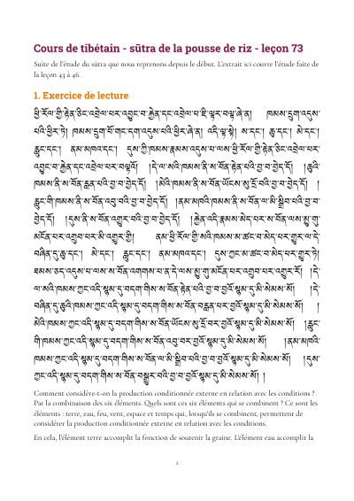 Leçon 73 — Sutra pousse de riz 3