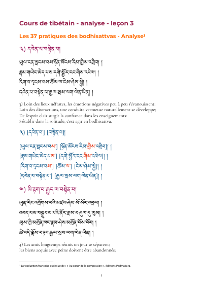 Leçon 3 — 37 pratiques des bodhisattvas 1