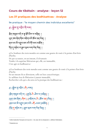 Leçon 9 — 37 pratiques des bodhisattvas 1