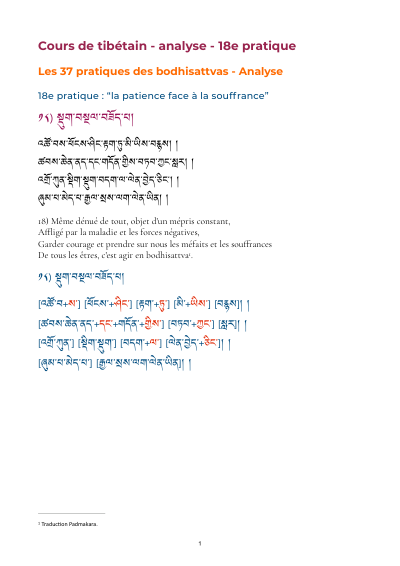 Leçon 21 — 37 pratiques des bodhisattvas 1