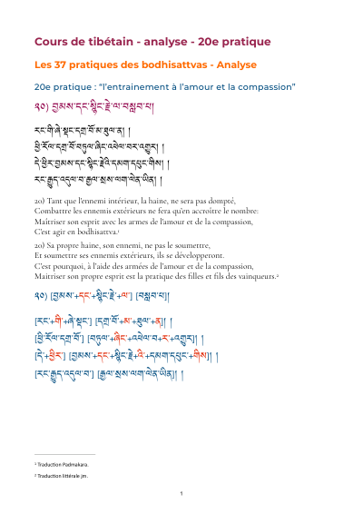 Leçon 23 — 37 pratiques des bodhisattvas 1
