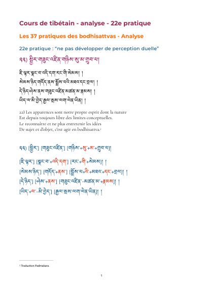 Leçon 25 — 37 pratiques des bodhisattvas 1