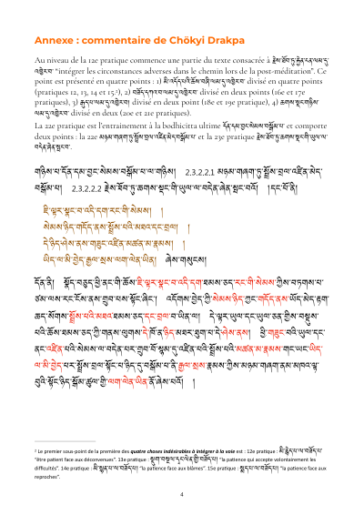 Leçon 26 — 37 pratiques des bodhisattvas 1