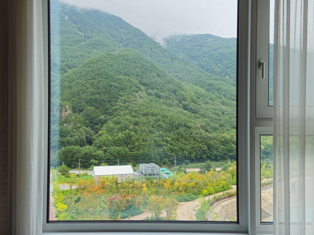 정선에서 묵은 호텔 뷰