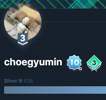 대체 이걸 왜 해야 하는지 모르겠지만, 랭크 올리고 뱃지 모으는 맛은 있다. https://solved.ac/profile/choegyumin