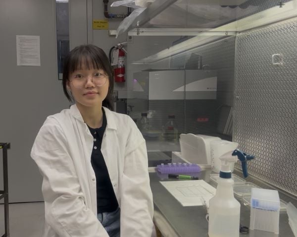 A daring application and hard work earn Stella Chen the top plant biology undergraduate award - Department of Cell & Systems Biology