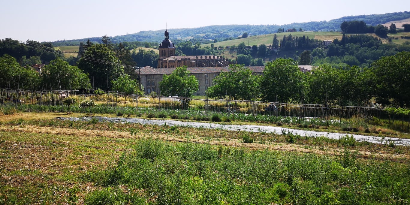 L’Arche de Saint-Antoine