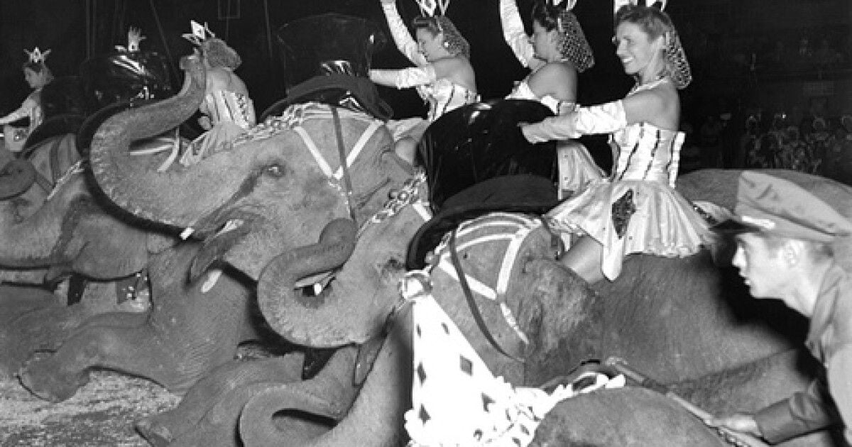 Through the years: Ringling Bros. and Barnum and Bailey Circus