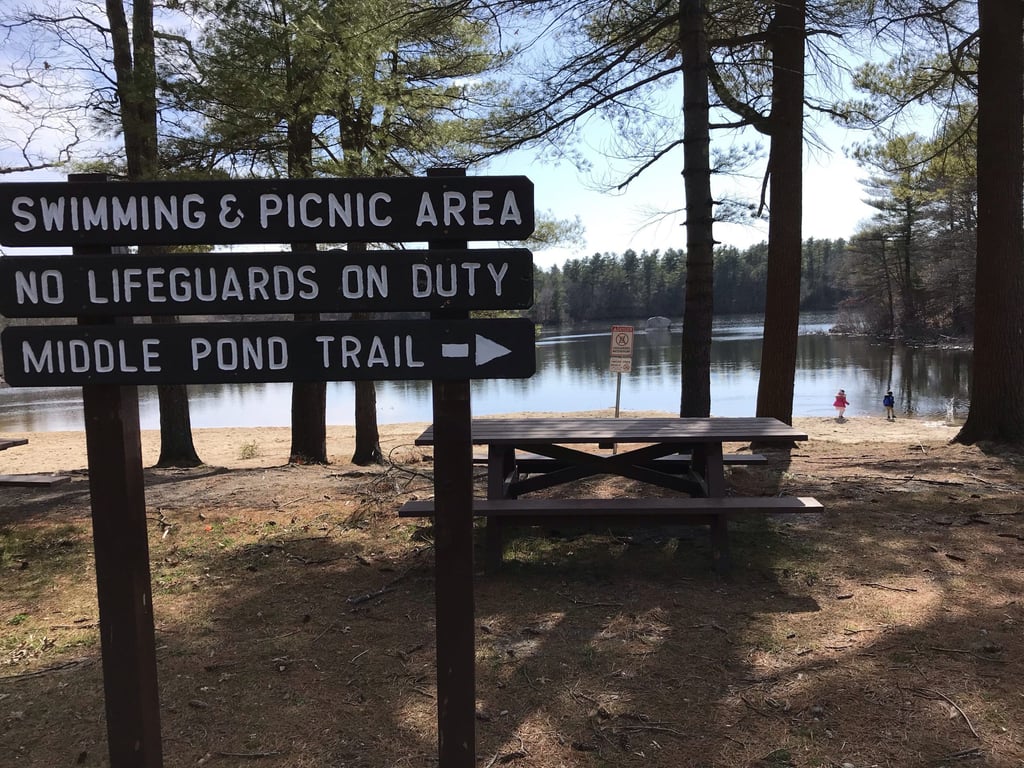 Things to do, eat in and around Holbrook, Mass