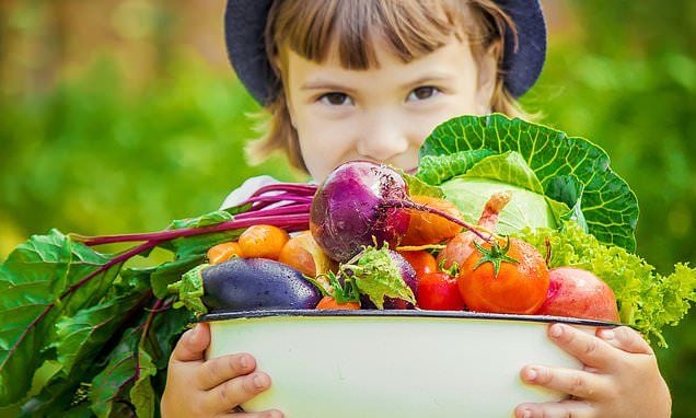 Children on trendy vegan diets are 1.2 inches SHORTER on average