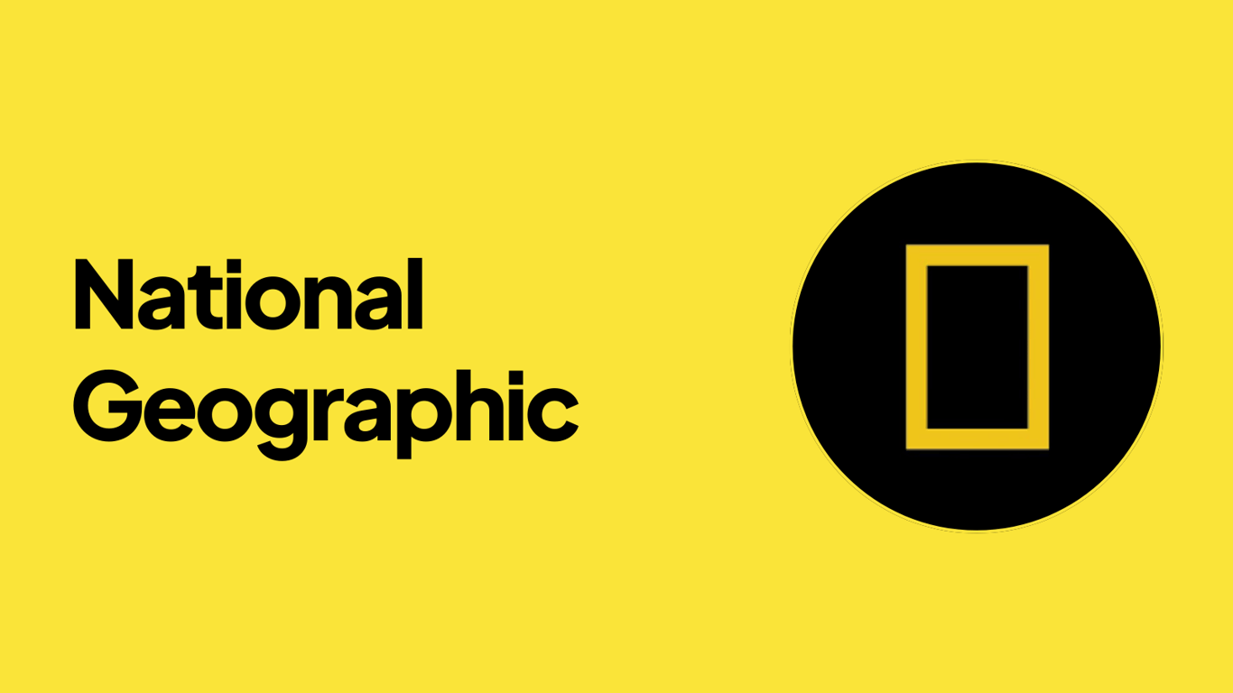 notion image