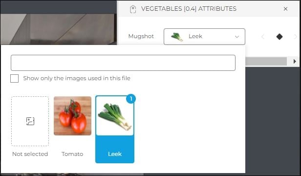 'Mugshot' attribute in editor