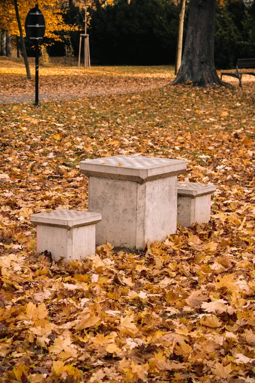 A public chess table in a city park. Croquet shares the same outdoor, head-to-head logic.