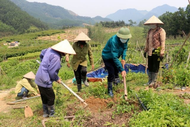 Adaptation part of National Strategy on Climate Change for 2050