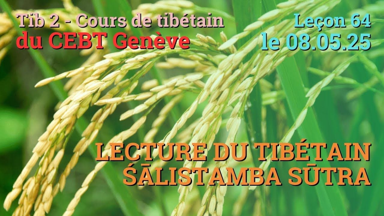 Tib 2 - Cours de tibétain ”pousse de riz” -  leçon 64, le 08.05.25