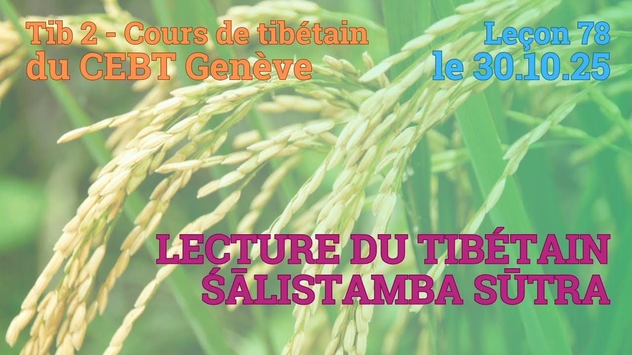 Tib 2 - Cours de tibétain ”pousse de riz” -  leçon 78, le 30.10.25