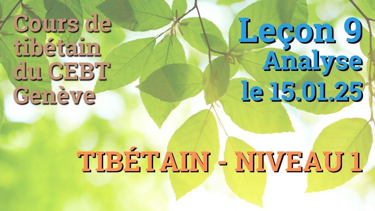 Cours de tibétain débutant leçon 9 - analyse - le 15.01.25