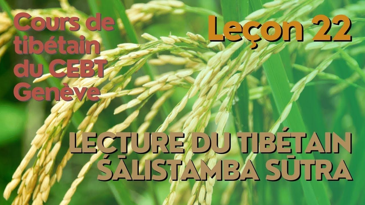 Cours de tibétain ”pousse de riz”    leçon 22