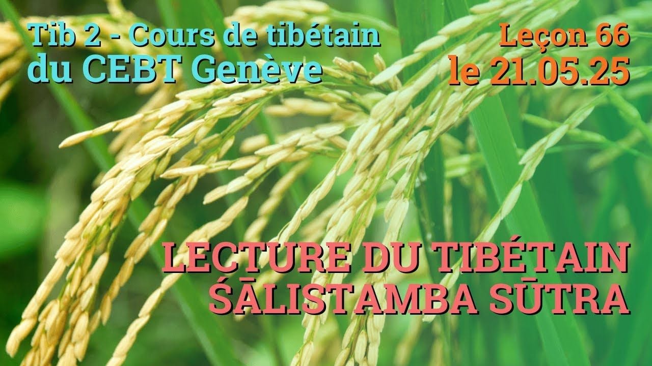 Tib 2 - Cours de tibétain ”pousse de riz” -  leçon 66, le 21.05.25