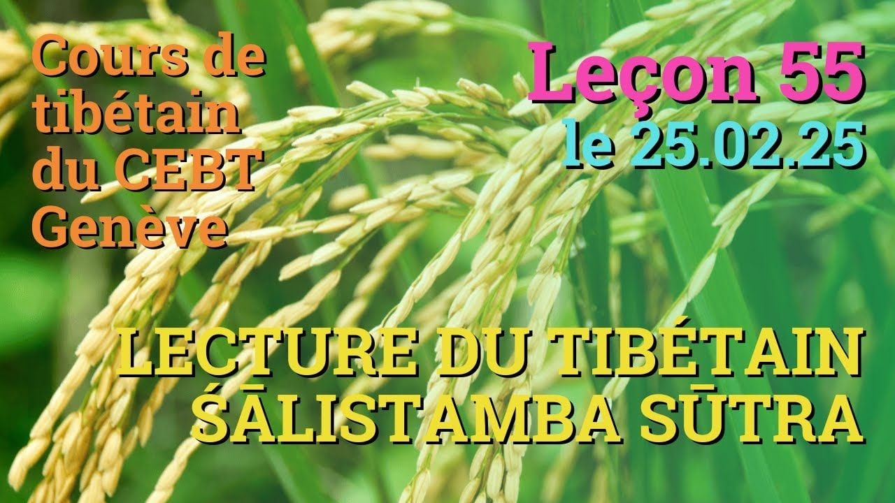 Cours de tibétain ”pousse de riz” - leçon 55, le 25.02.24
