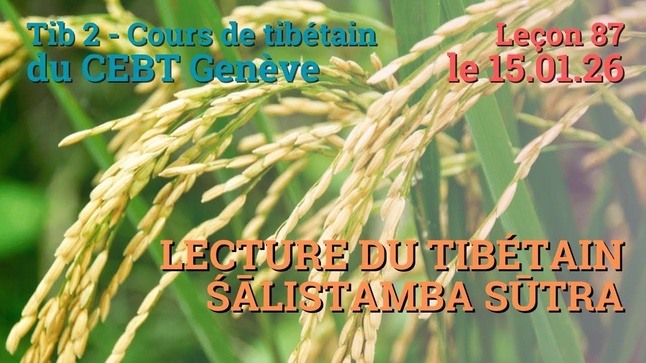 Tib 2 - Cours de tibétain ”pousse de riz” -  leçon 87, le 15.01.26